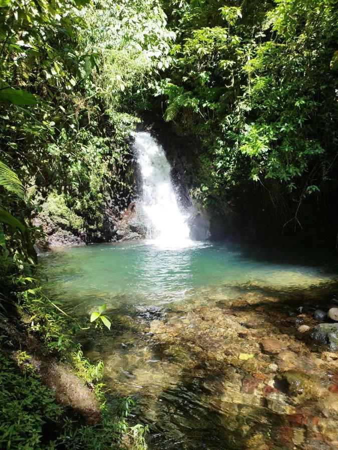 Pozas Y Cascadas La Presa Río Cuarto Dış mekan fotoğraf